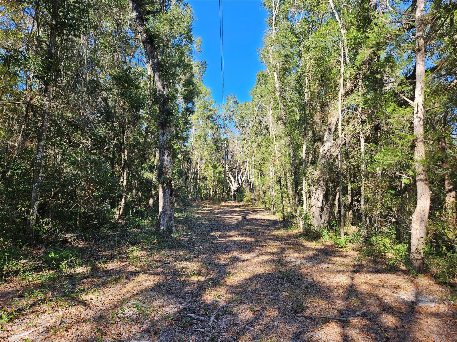 tbd NE 175th Avenue Williston FL 32696 OM715248 image2