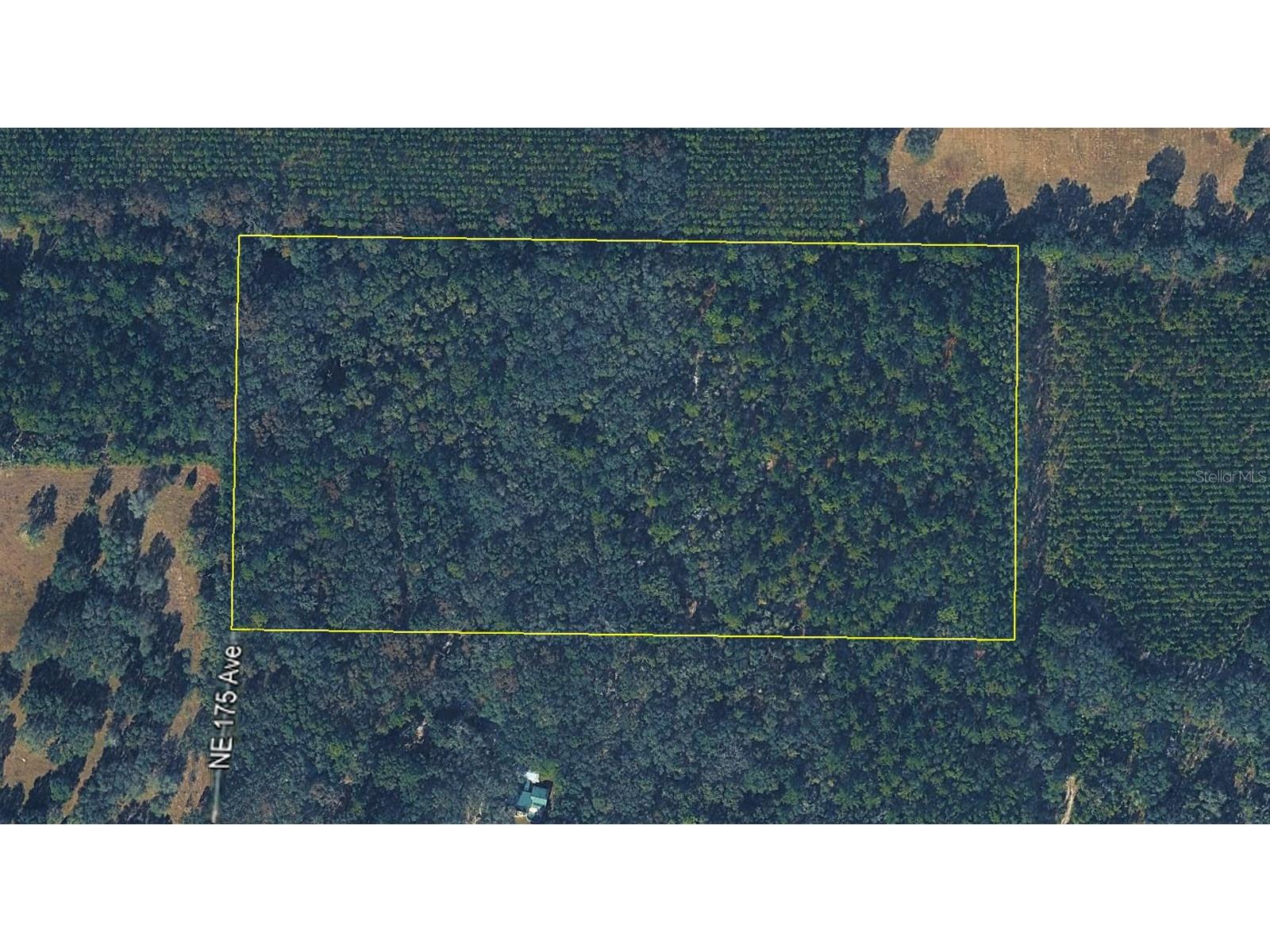 tbd NE 175th Avenue Williston FL 32696 OM715248 image3