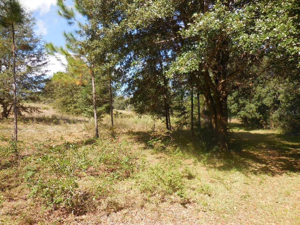 tbd NE 40th Street Williston FL 32696 OM653380 image1