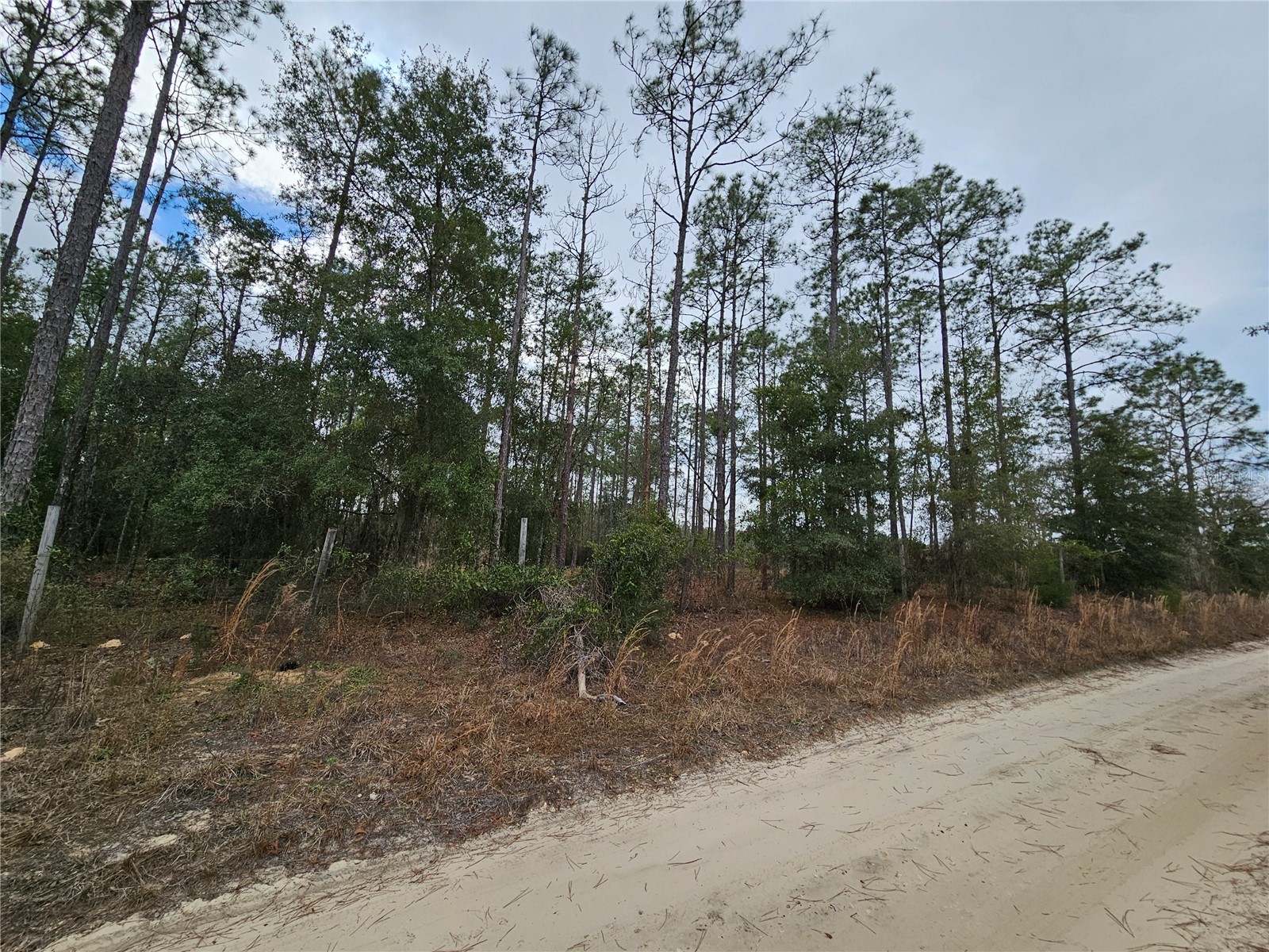 tbd NE 45th Street Williston FL 32696 OM717559 image1