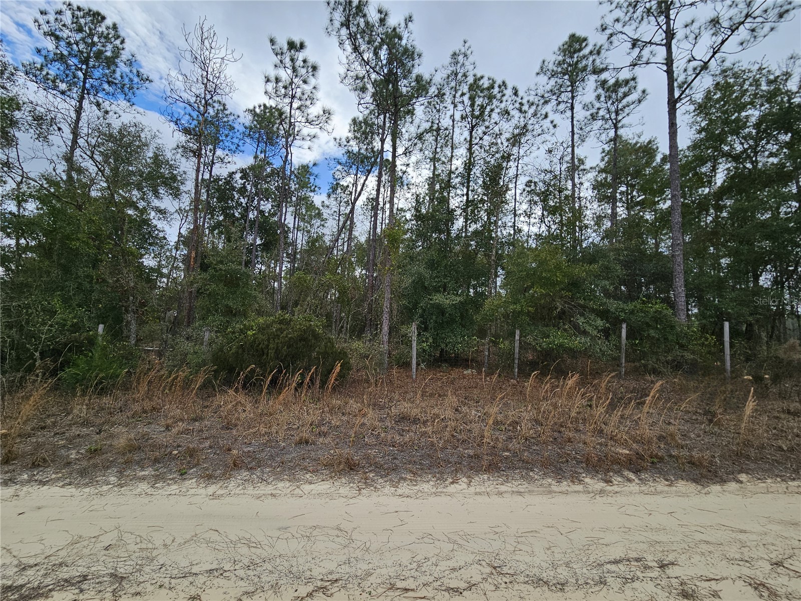 tbd NE 45th Street Williston FL 32696 OM717559 image2