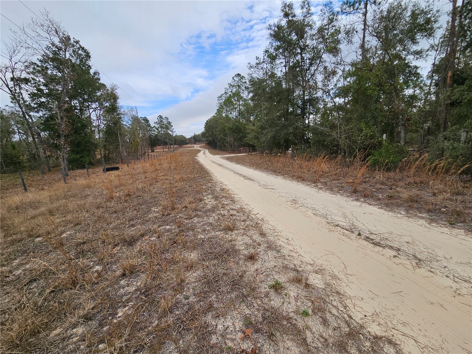 tbd NE 45th Street Williston FL 32696 OM717559 image4