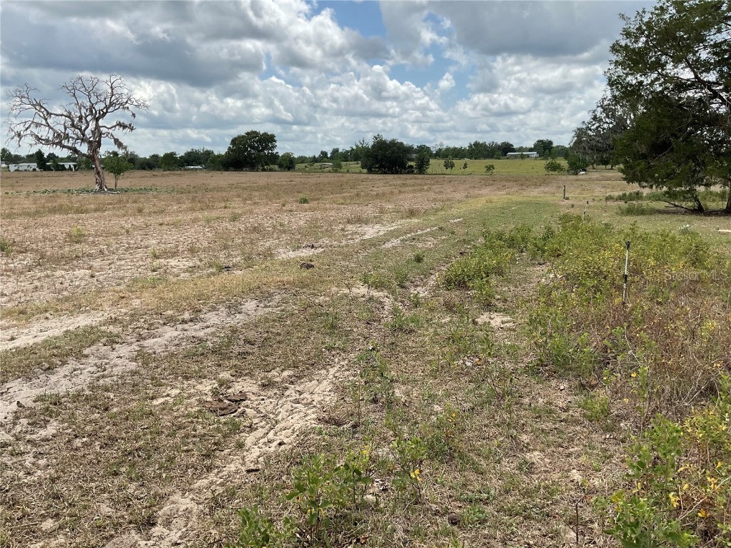 tbd NE 46th Lane Bronson FL 32621 OM702760 image3