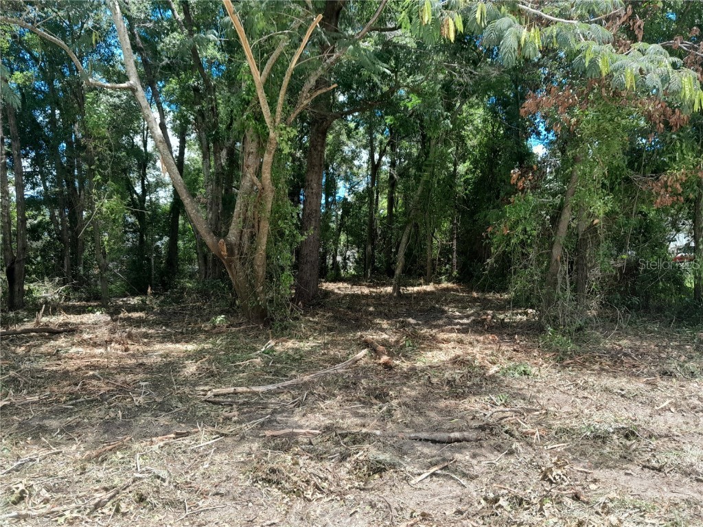 tbd NE 48th Street Williston FL 32696 OM703966 image2