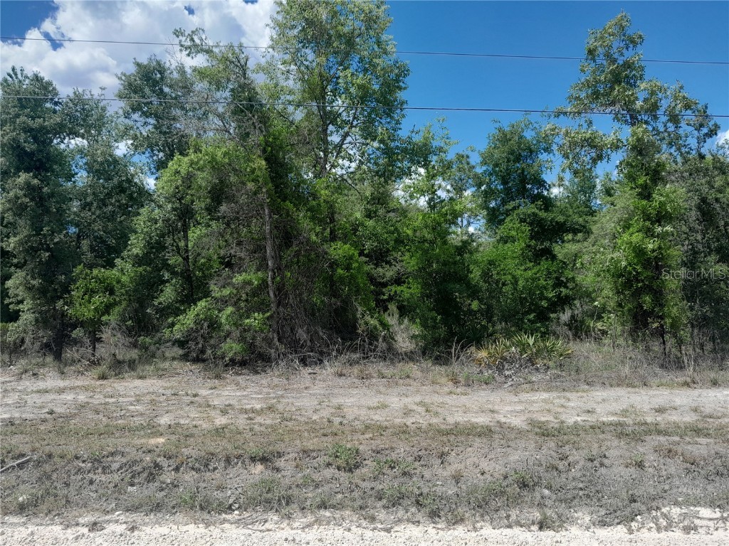 tbd NE 63rd Place Williston FL 32696 OM700811 image1