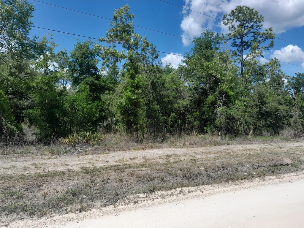 tbd NE 63rd Place Williston FL 32696 OM700811 image2