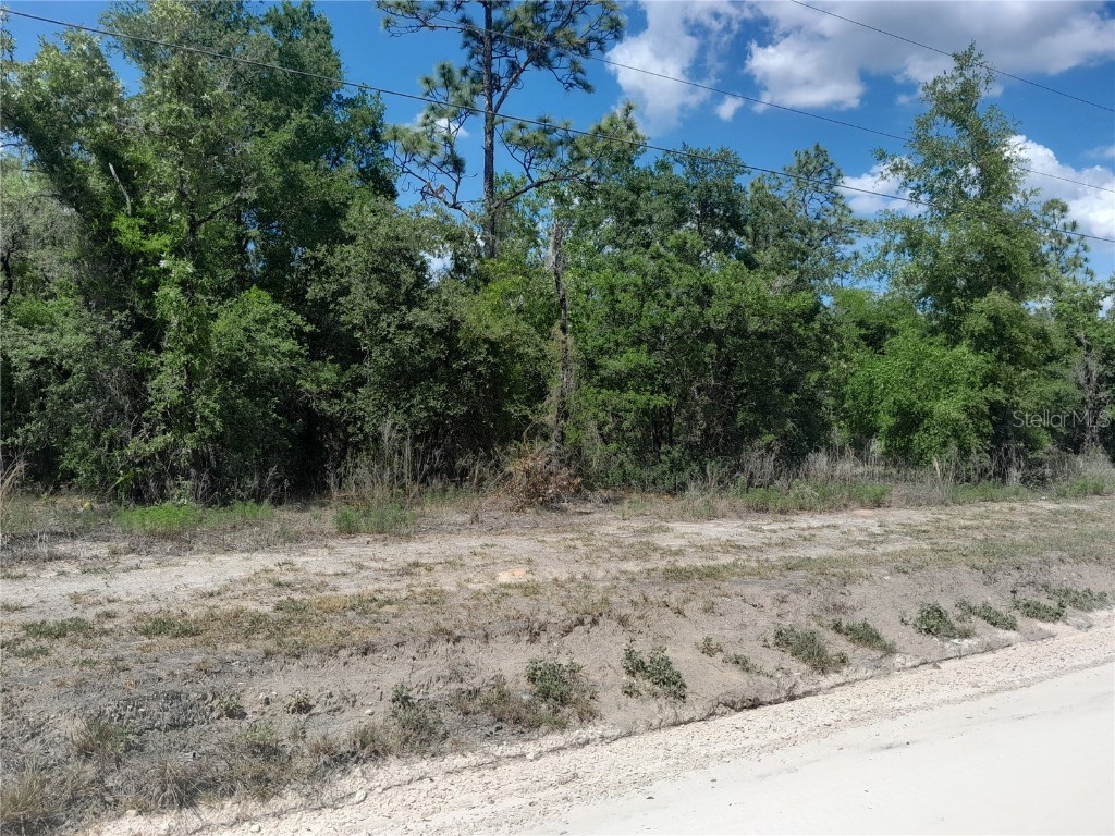 tbd NE 63rd Place Williston FL 32696 OM700811 image3