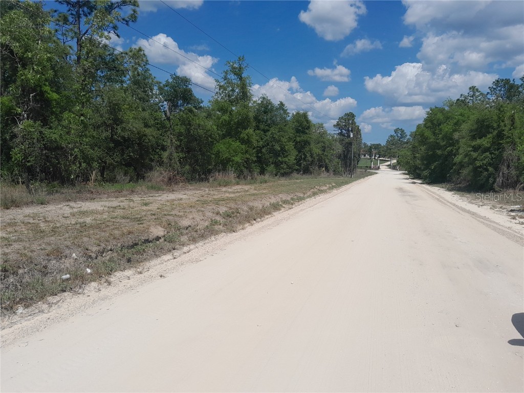 tbd NE 63rd Place Williston FL 32696 OM700811 image4