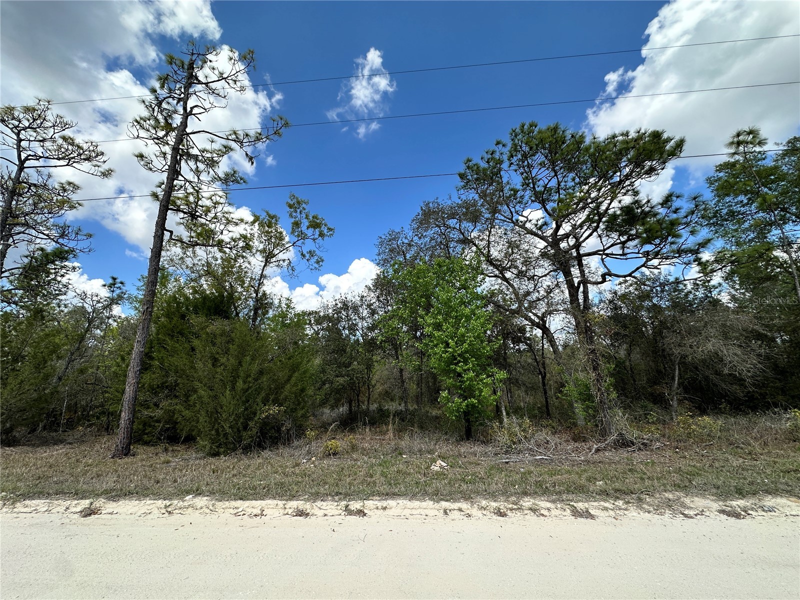 tbd NE 63rd Place Williston FL 32696 OM718813 image1