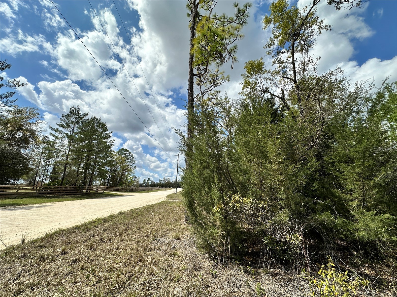 tbd NE 63rd Place Williston FL 32696 OM718813 image4