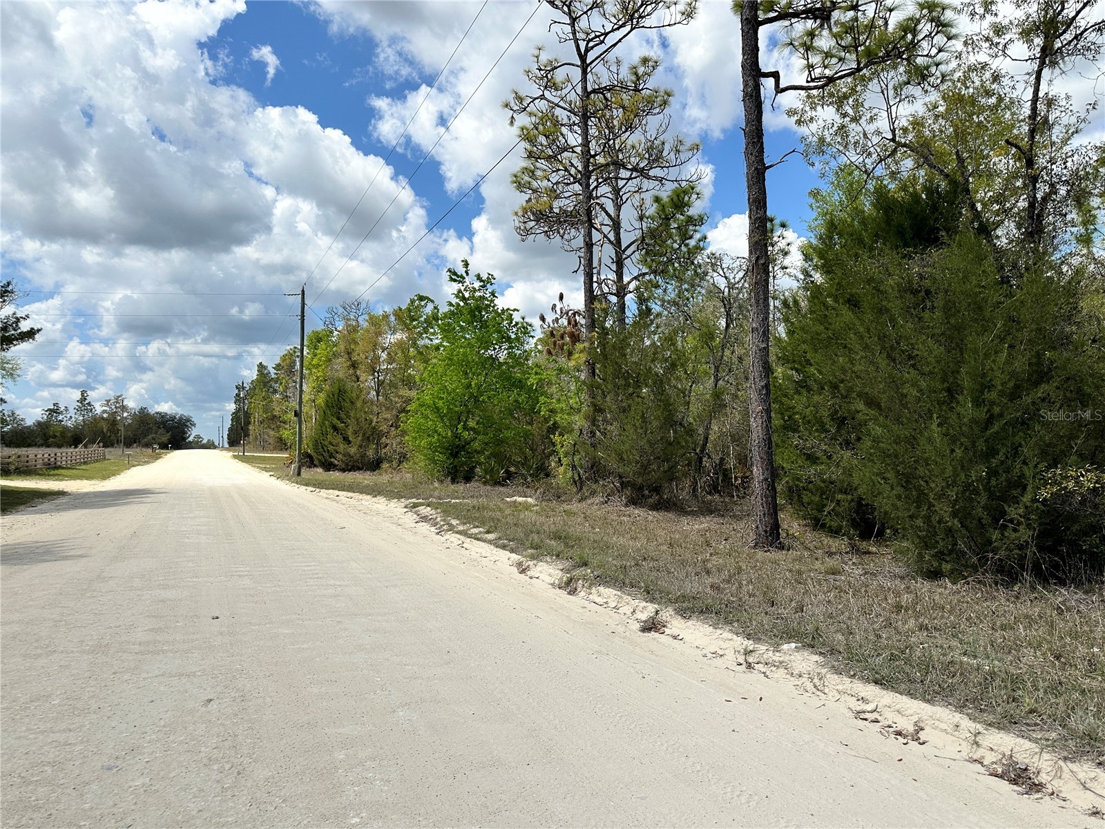 tbd NE 63rd Place Williston FL 32696 OM718813 image5