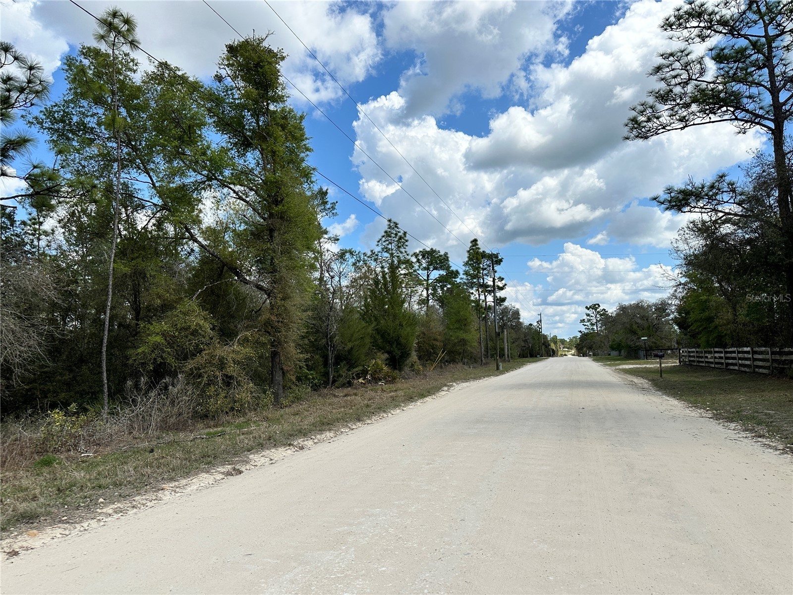 tbd NE 63rd Place Williston FL 32696 OM718813 image6