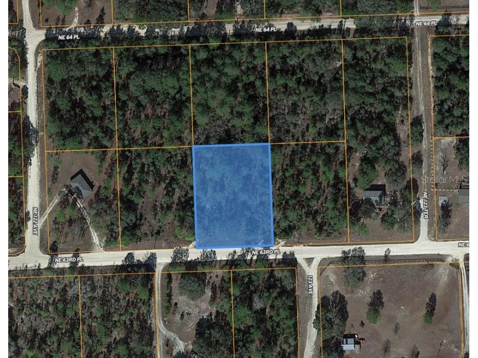 tbd NE 63rd Place Williston FL 32696 OM718813 image7