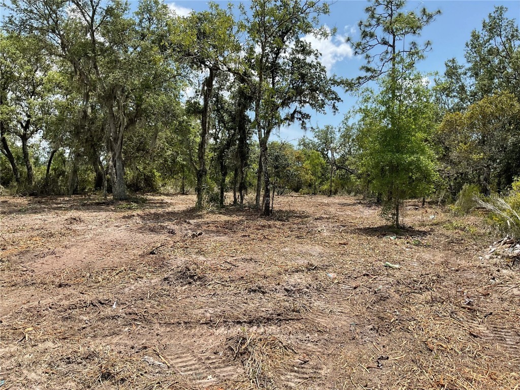 tbd NE 69th Street Williston FL 32696 OM698606 image1