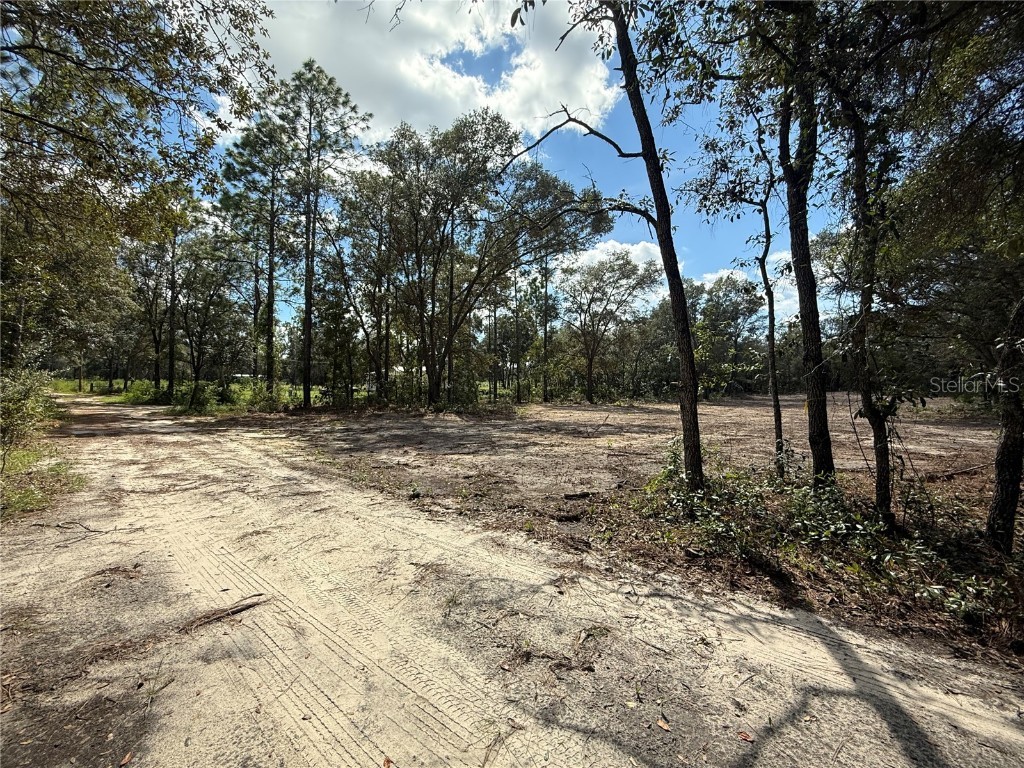 tbd NE 72nd Place Bronson FL 32621 OM709539 image2