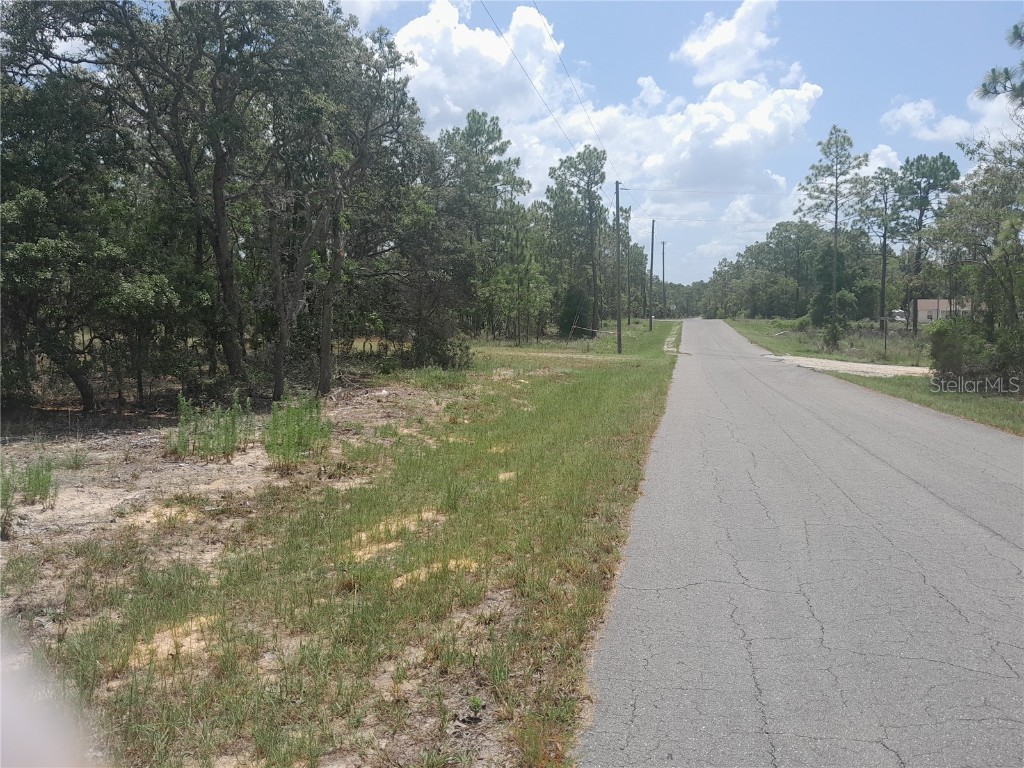 tbd NE 7th Place Williston FL 32696 OM703417 image1