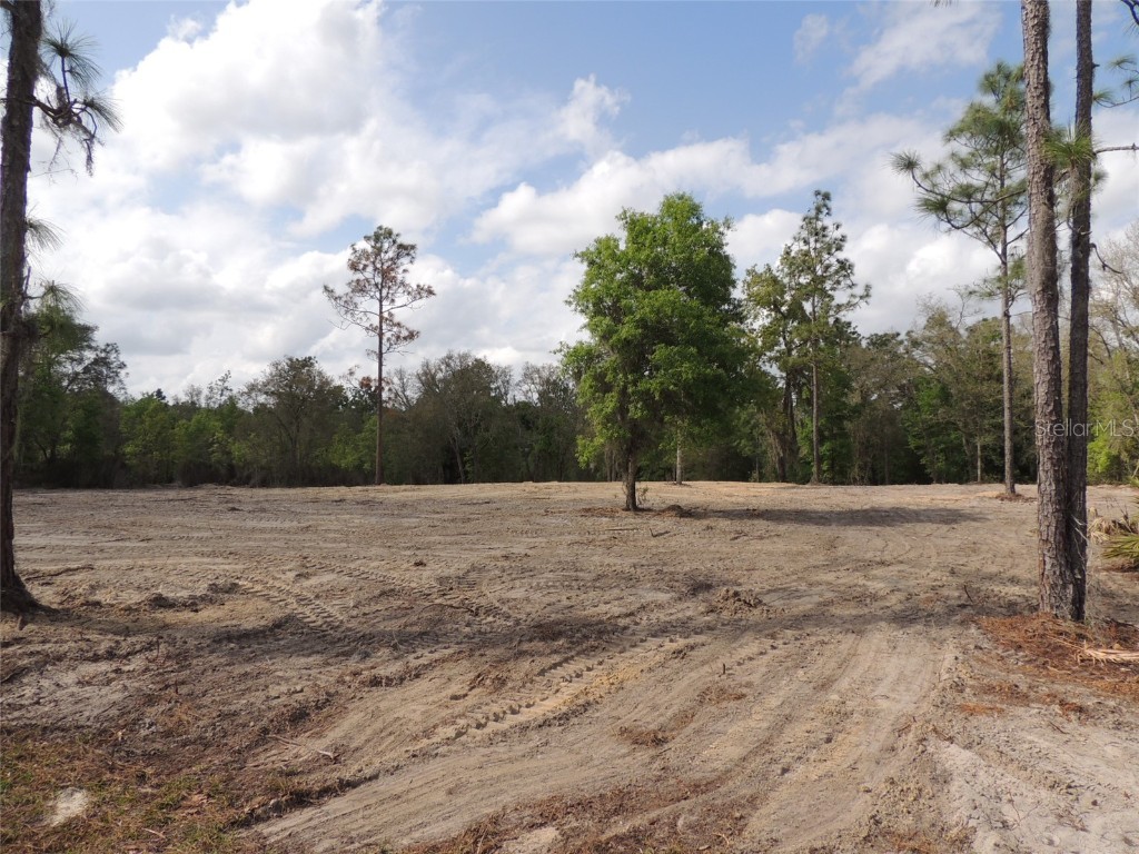 tbd NE 81st Street Bronson FL 32621 OM676017 image1