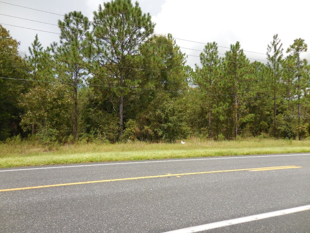 tbd NE State Road 121 Williston FL 32696 OM689254 image4