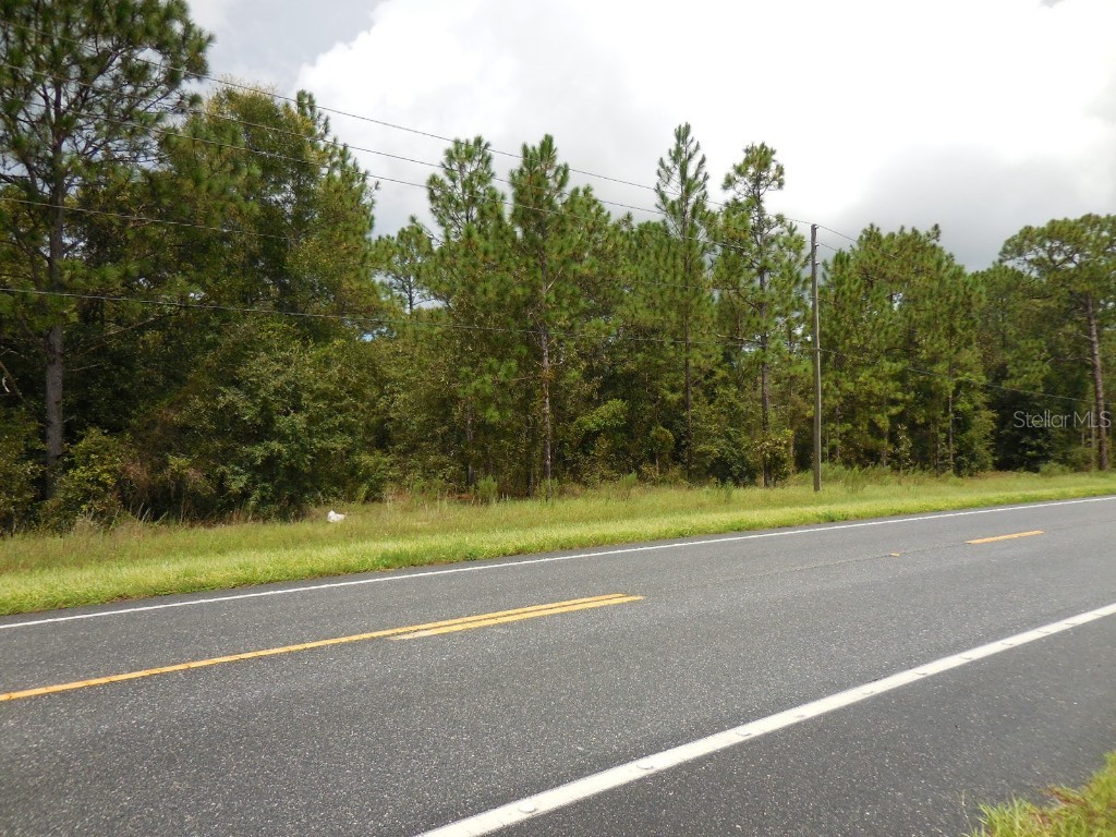 tbd NE State Road 121 Williston FL 32696 OM689254 image6