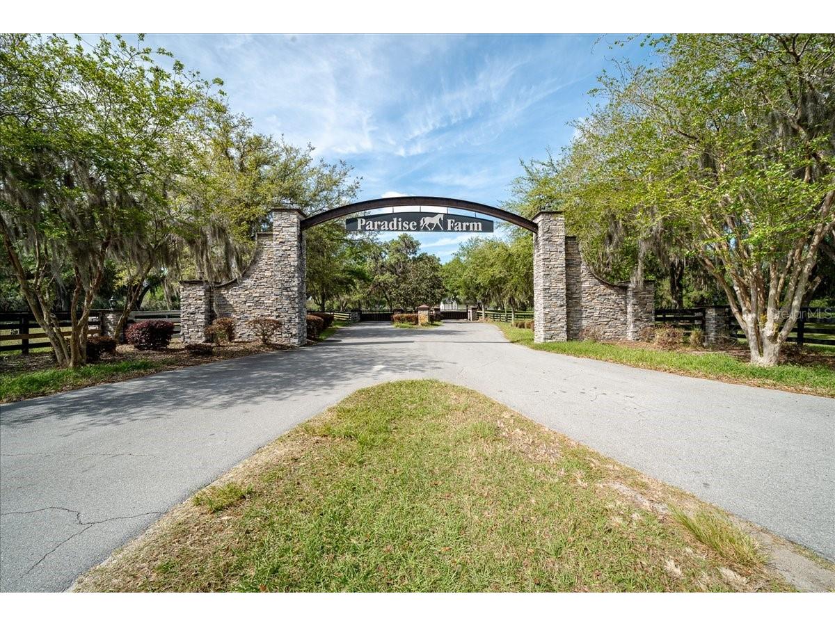 tbd Nw 154th Ave. Rd Lot 11 Morriston FL 32668 OM721793 image16