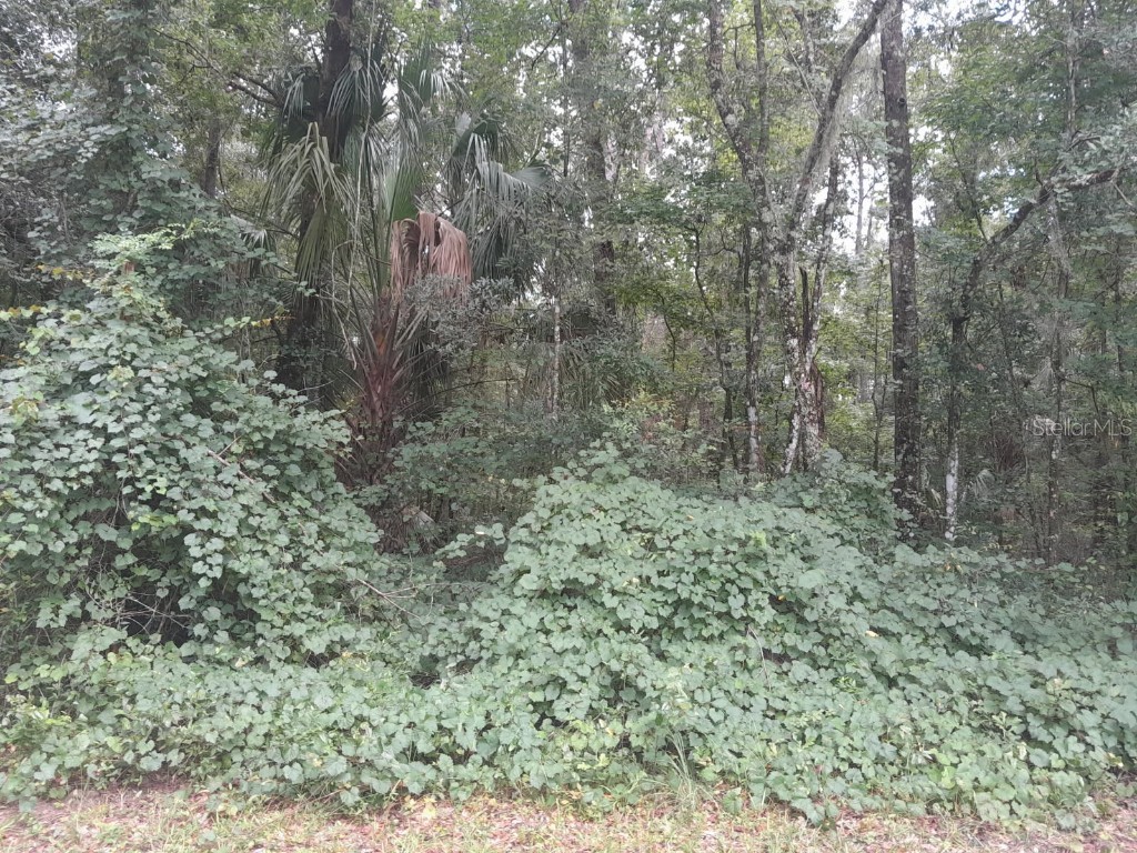 tbd NW 172nd Place Reddick FL 32686 OM706814 image4