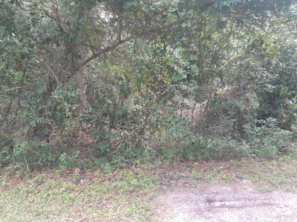 tbd NW 172nd Place Reddick FL 32686 OM706814 image5