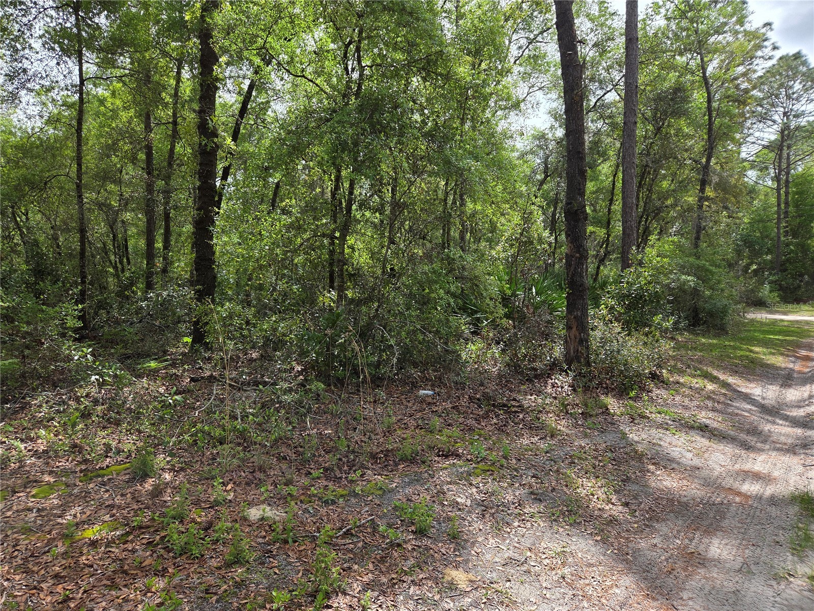 tbd NW 97th Court Chiefland FL 32626 OM722512 image5