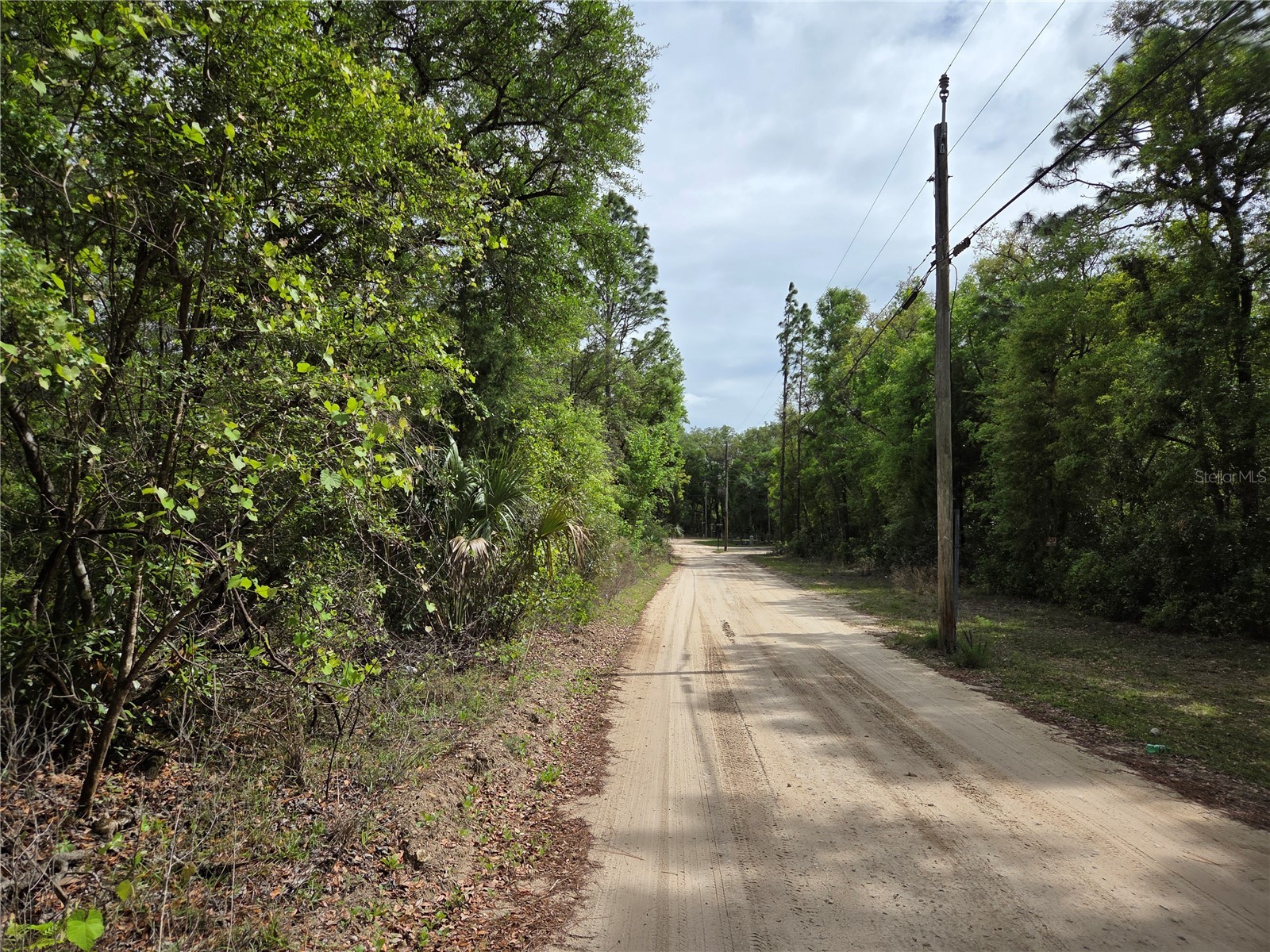 tbd NW 97th Court Chiefland FL 32626 OM722512 image6