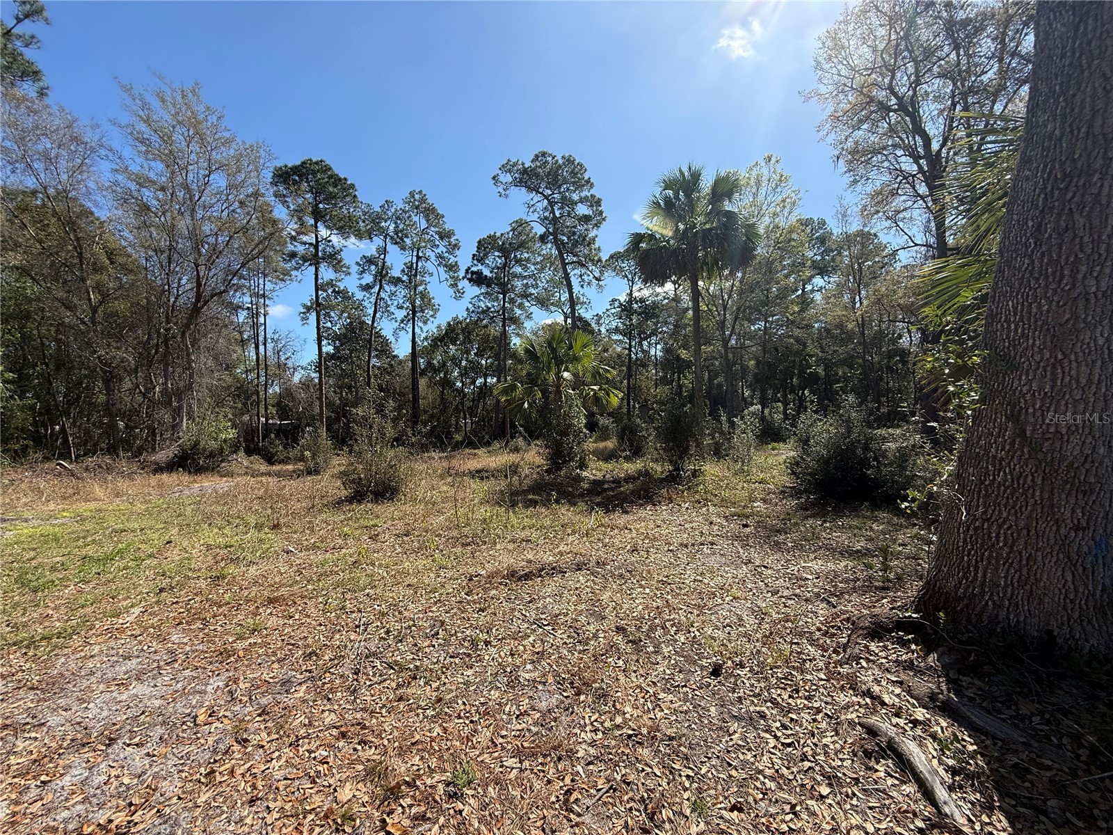 tbd Pennsylvania Street Paisley FL 32767 V4947809 image3