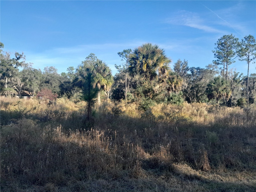 tbd SE 110th Avenue Inglis FL 34449 OM713965 image2