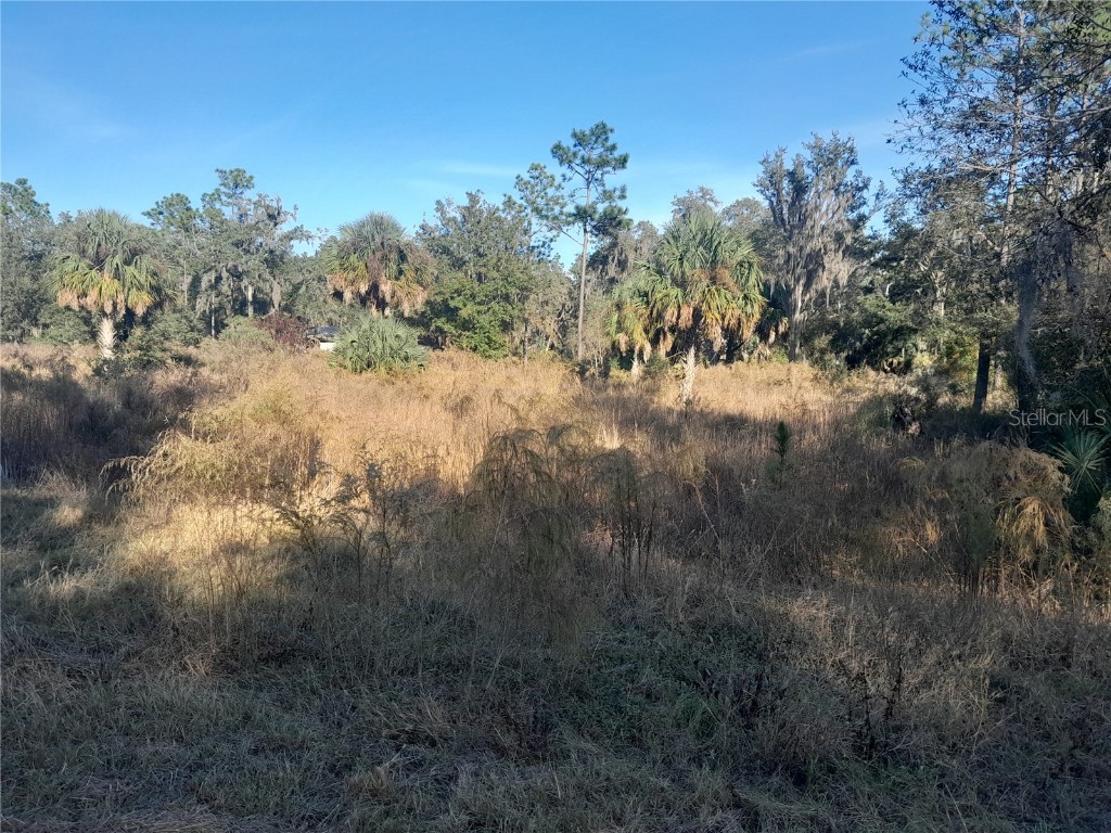 tbd SE 110th Avenue Inglis FL 34449 OM713973 image2