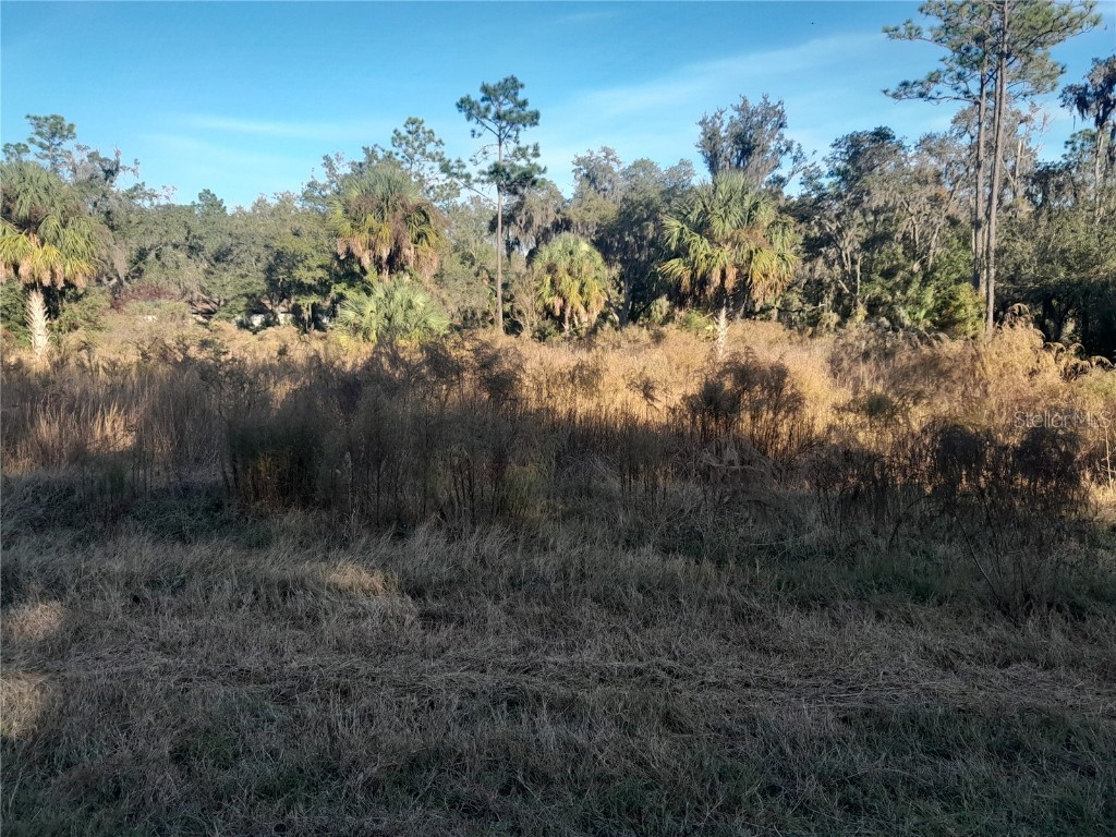 tbd SE 110th Avenue Inglis FL 34449 OM713973 image3