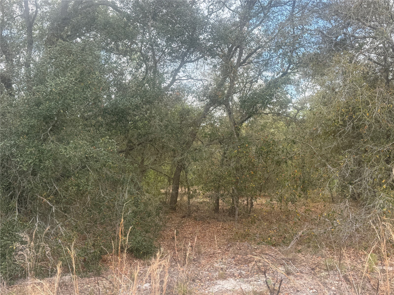 tbd SE 131st Terrace Dunnellon FL 34431 OM721876 image1