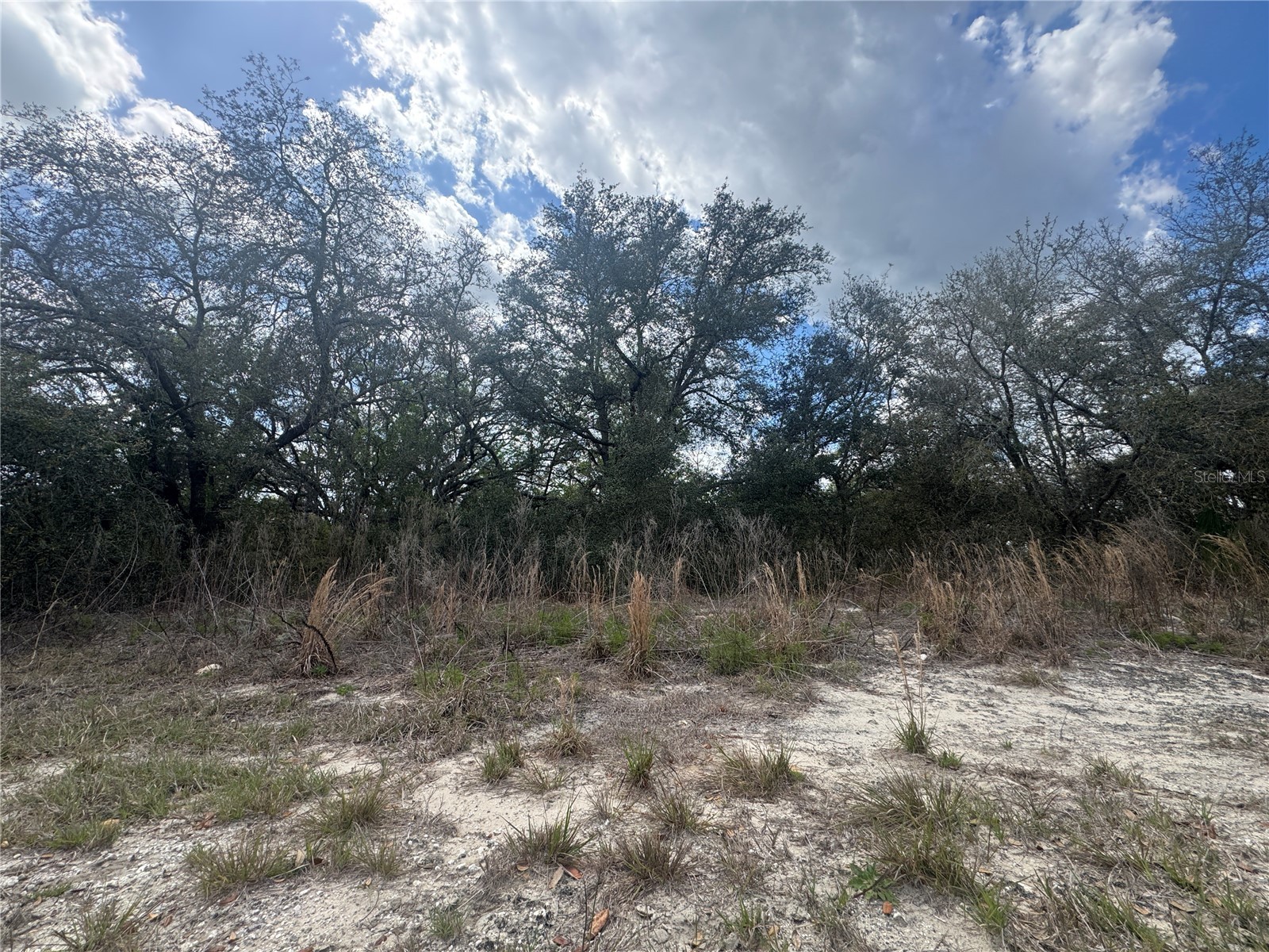 tbd SE 131st Terrace Dunnellon FL 34431 OM721876 image2