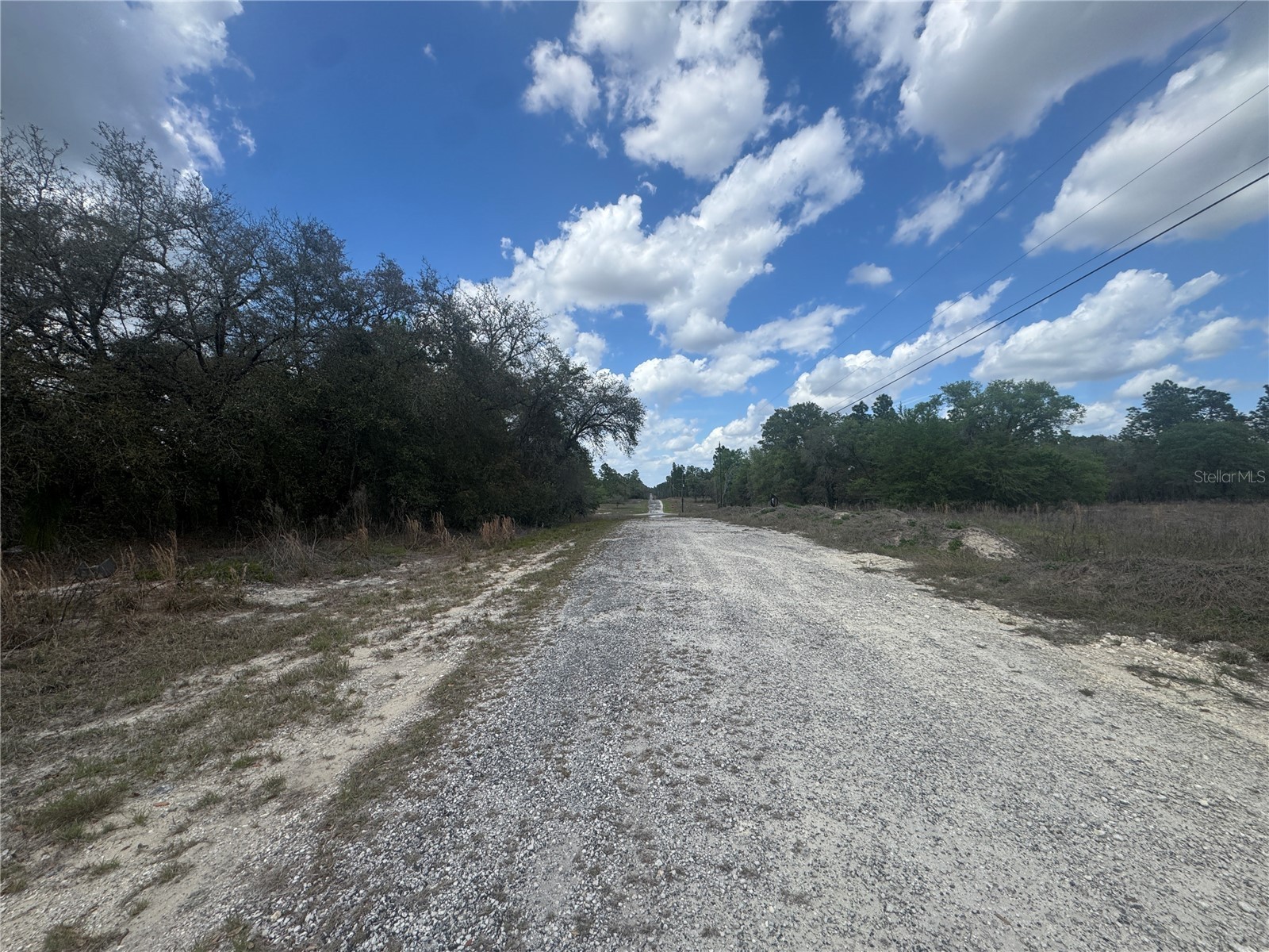 tbd SE 131st Terrace Dunnellon FL 34431 OM721876 image3