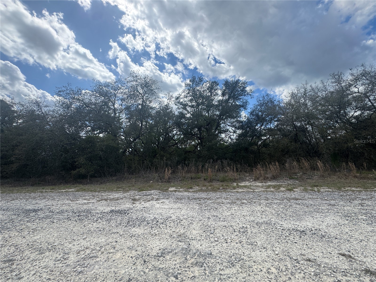 tbd SE 131st Terrace Dunnellon FL 34431 OM721876 image4