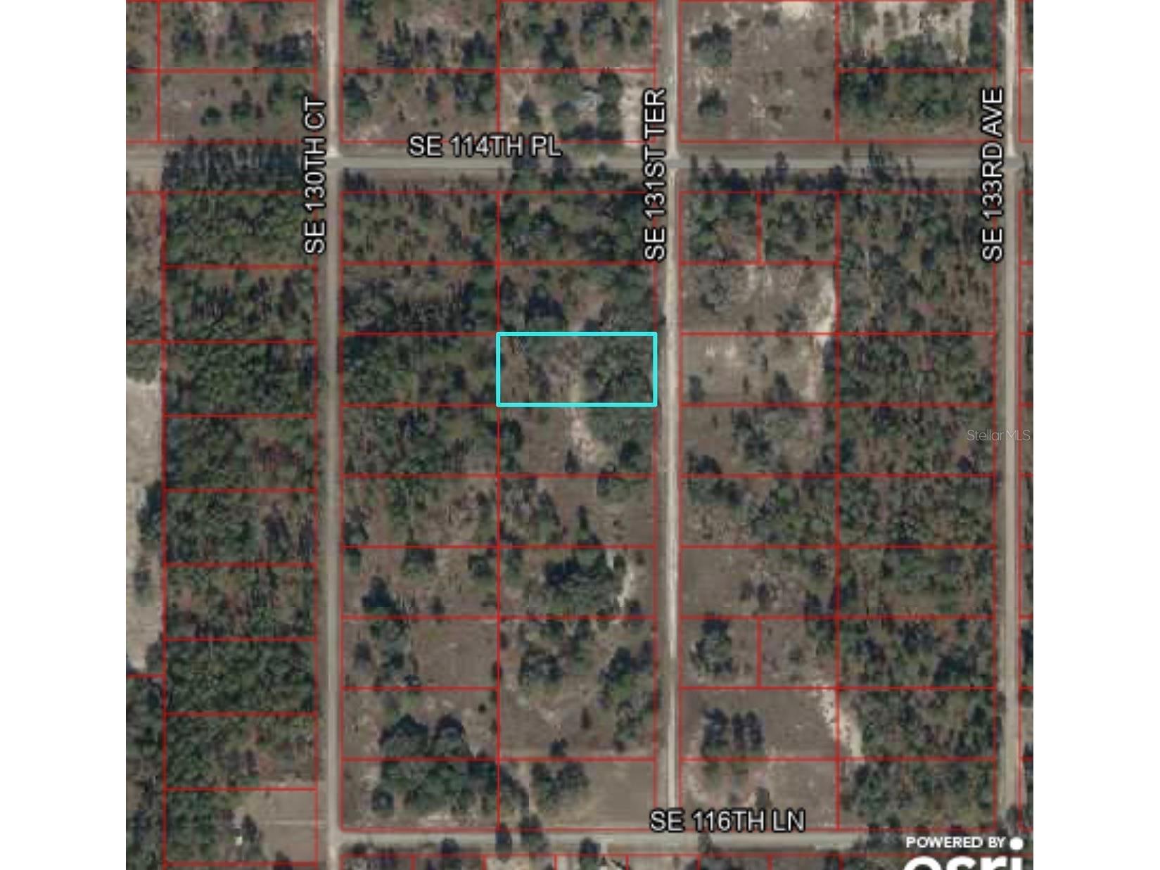 tbd SE 131st Terrace Dunnellon FL 34431 OM721876 image7