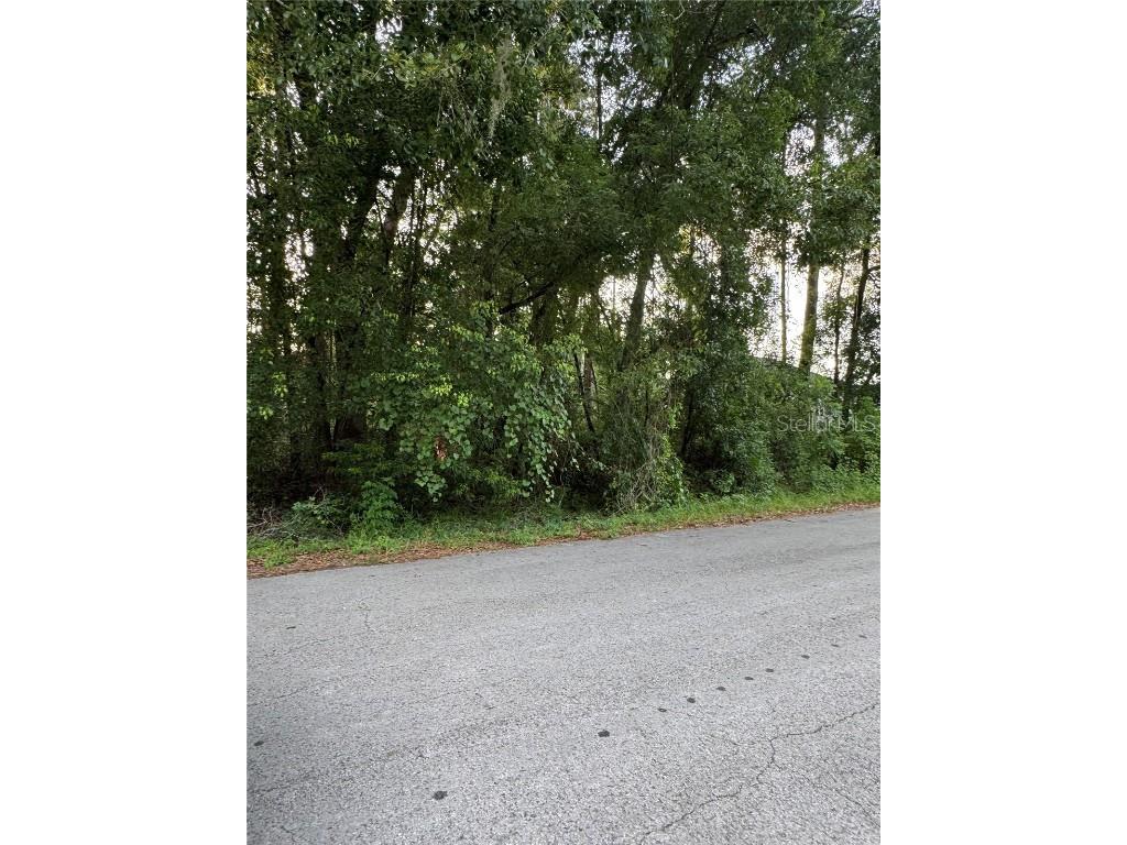 tbd SE 158th Place Summerfield FL 34491 OM710917 image1