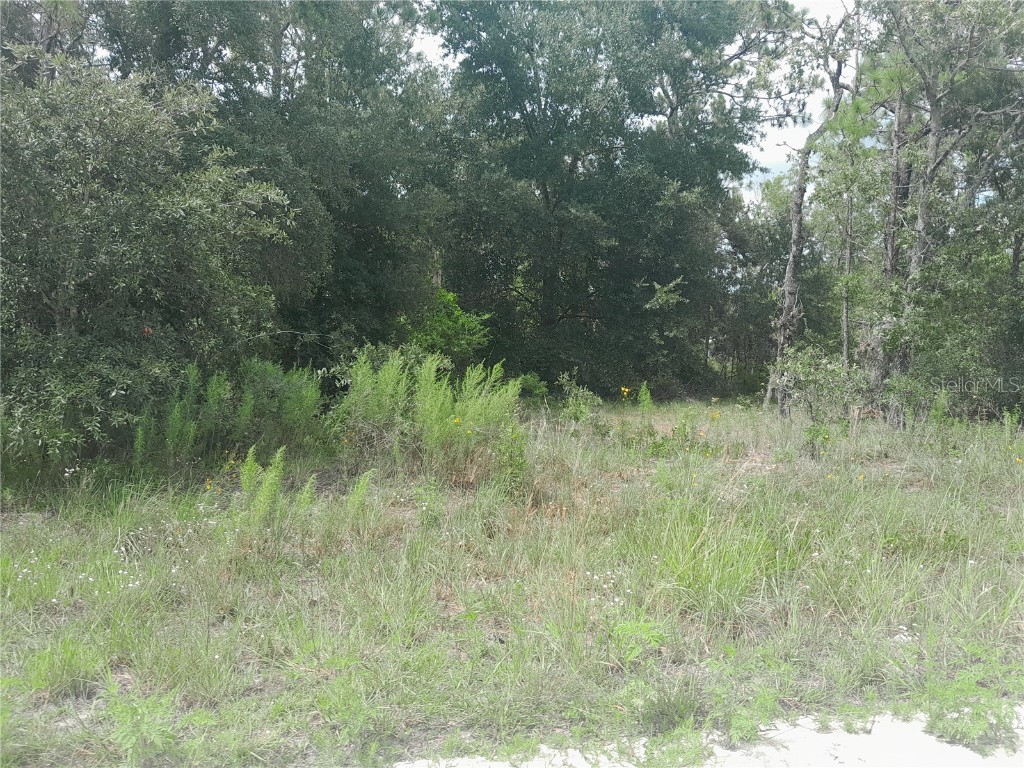 tbd SE 28th Street Morriston FL 32668 OM706138 image2