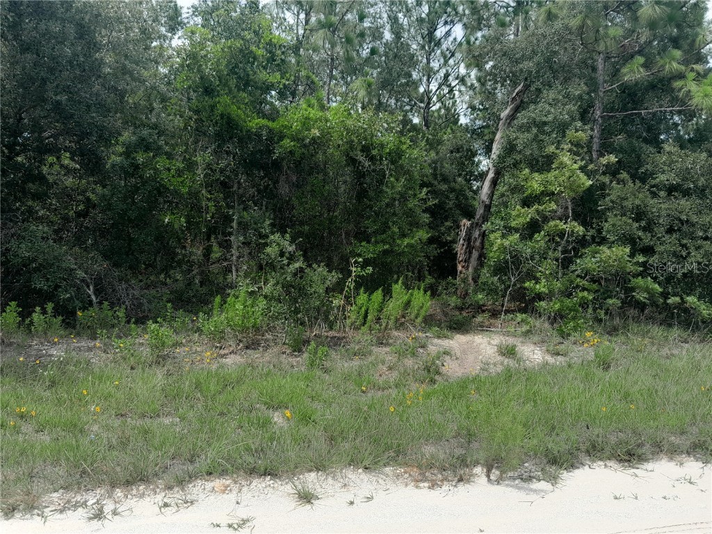 tbd SE 28th Street Morriston FL 32668 OM706138 image3