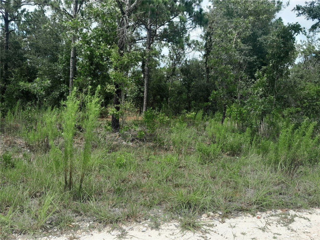 tbd SE 28th Street Morriston FL 32668 OM706138 image4