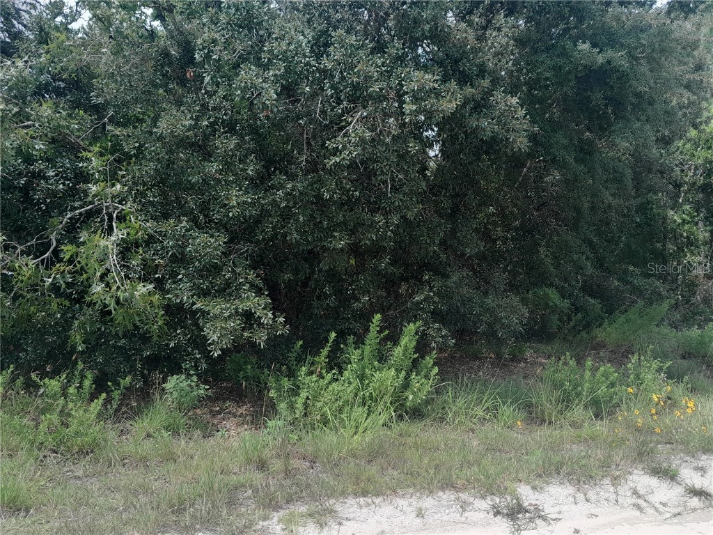 tbd SE 28th Street Morriston FL 32668 OM706138 image5