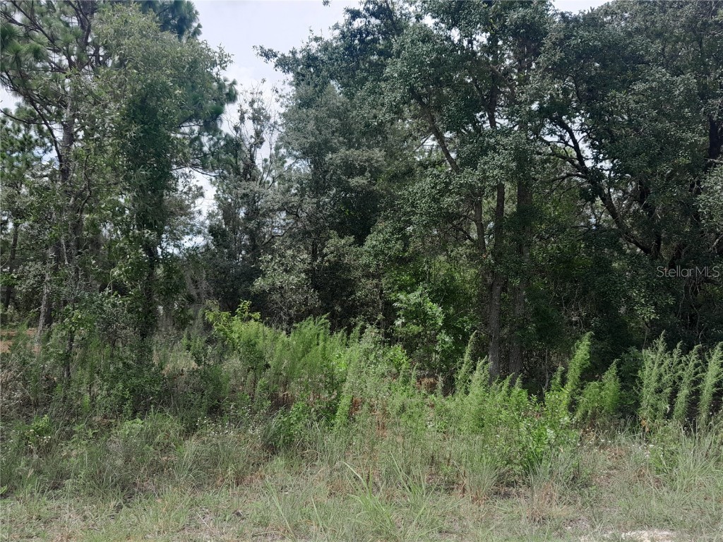 tbd SE 28th Street Morriston FL 32668 OM706138 image6