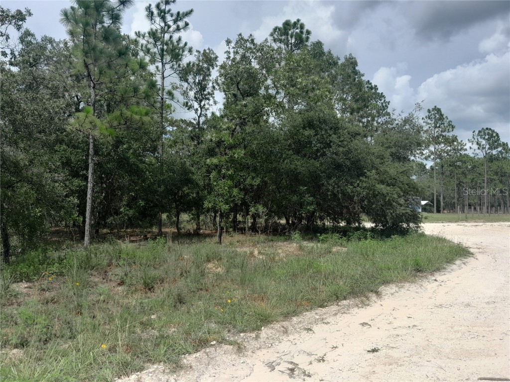 tbd SE 28th Street Morriston FL 32668 OM706138 image7