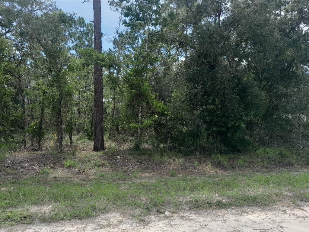 tbd SE 28th Street Morriston FL 32668 OM706138 image8