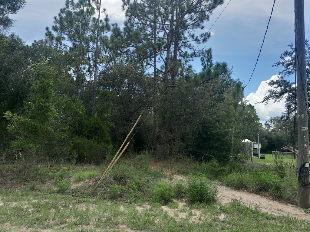 tbd SE 28th Street Morriston FL 32668 OM706138 image9