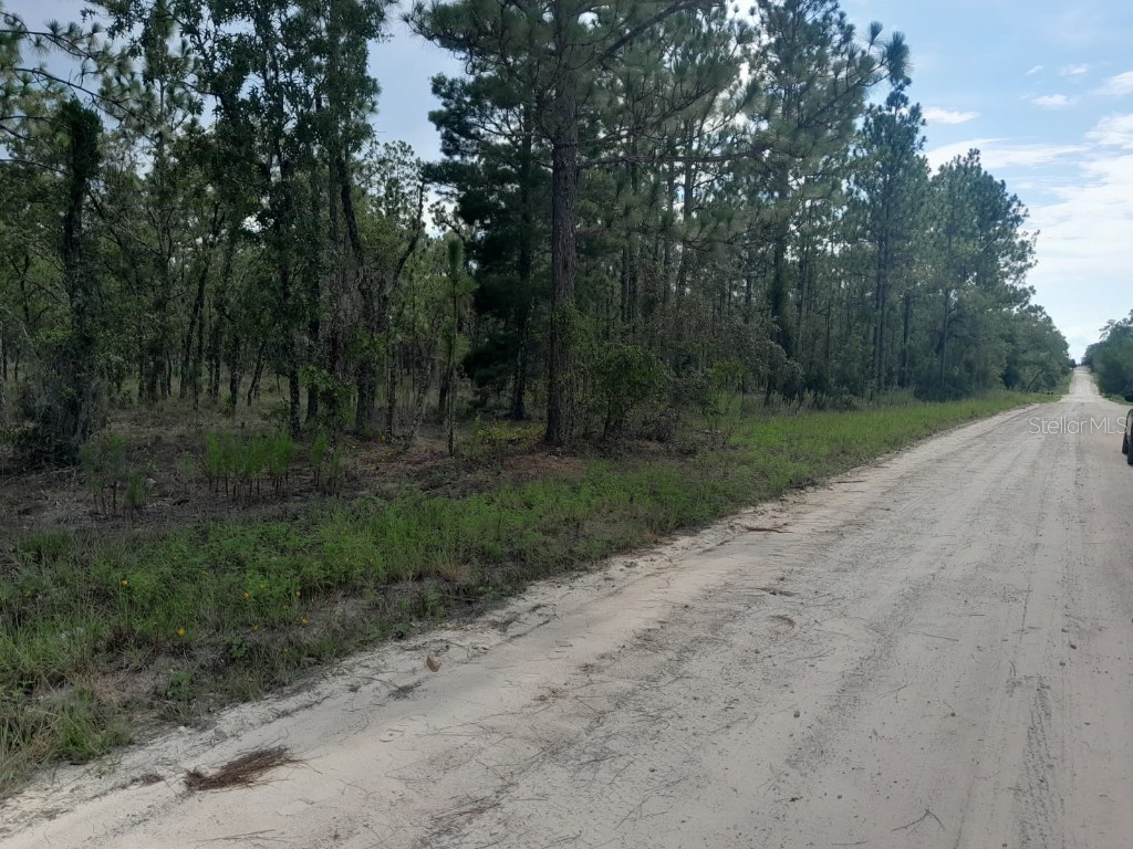 tbd SE 4th Street Williston FL 32696 OM706323 image1