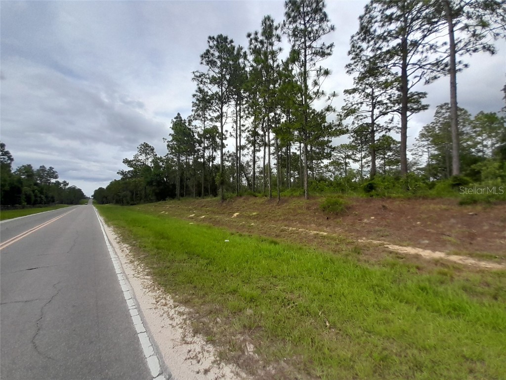 tbd SE 71st Place Morriston FL 32668 OM703096 image1