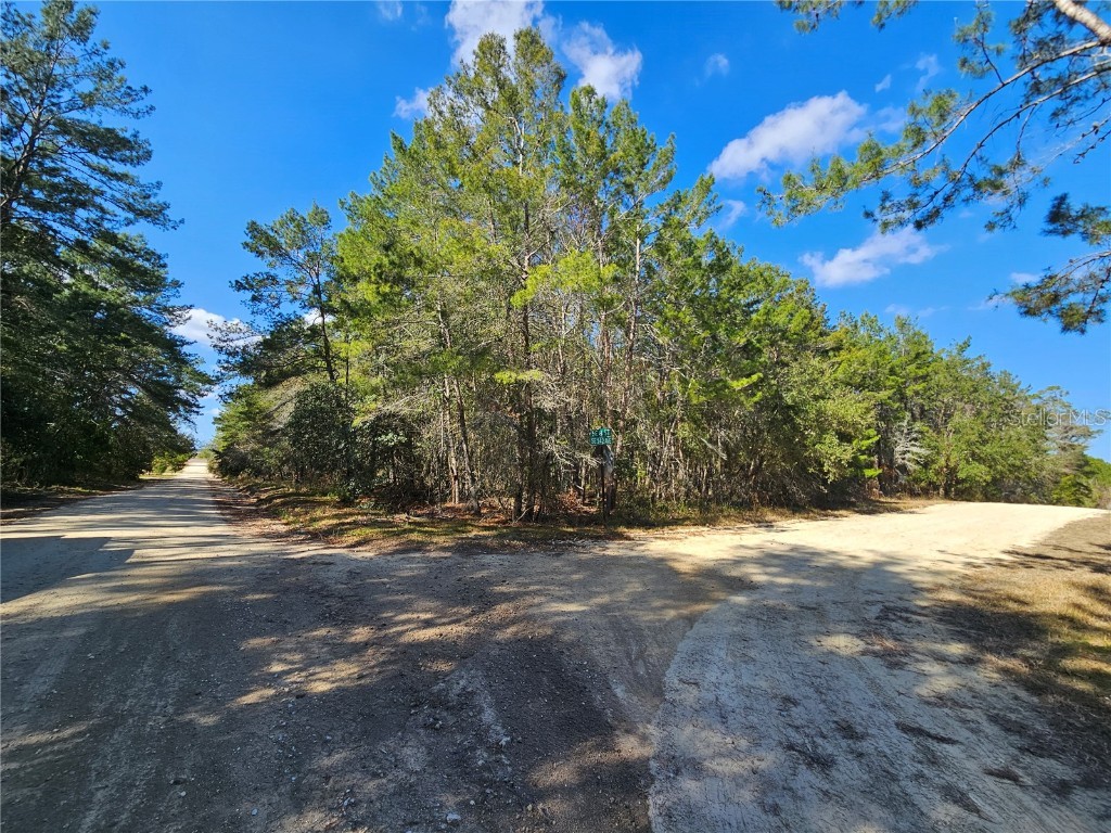 tbd SE 8th Street Williston FL 32696 OM715541 image2