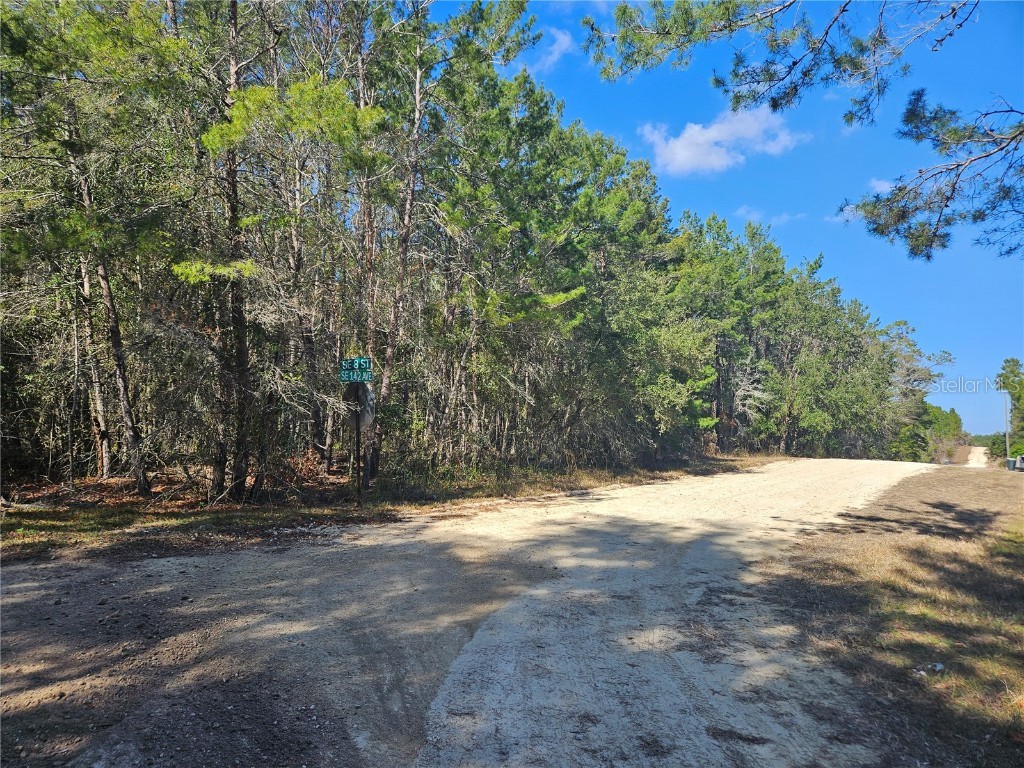 tbd SE 8th Street Williston FL 32696 OM715541 image3